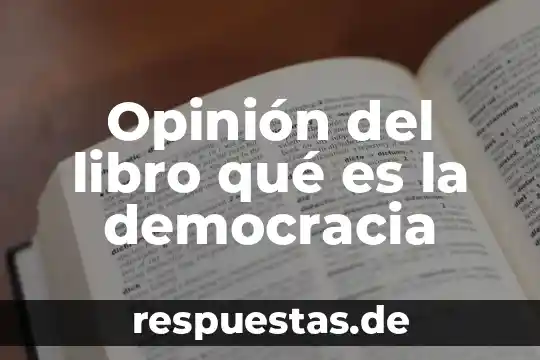 Que es democracia y sociedad 4 Opinión del libro qué es la democracia