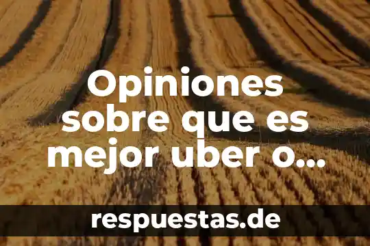 Opiniones sobre que es mejor uber o difi para trabajar