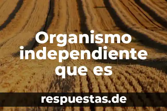 Que es un proyecto de vida independiente 6 Organismo independiente que es