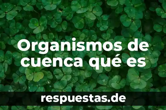 Que es organismos regionales 3 Organismos de cuenca qué es
