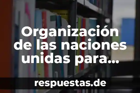 Organización de las naciones unidas para que es