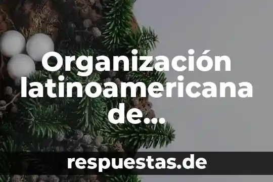 Organización latinoamericana de administración que es