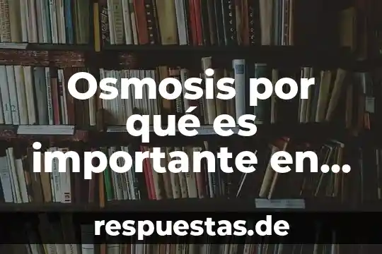 Que es ser integro como valor 7 Osmosis por qué es importante en el ser humano