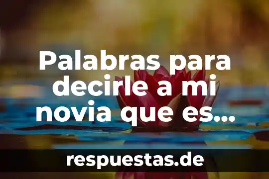Como decirle a instagram que es un dibujo 4 Palabras para decirle a mi novia que es hermosa
