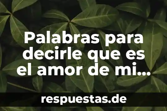 Como decirle a instagram que es un dibujo 6 Palabras para decirle que es el amor de mi vida