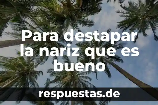 Que es nariz dibujo 3 Para destapar la nariz que es bueno