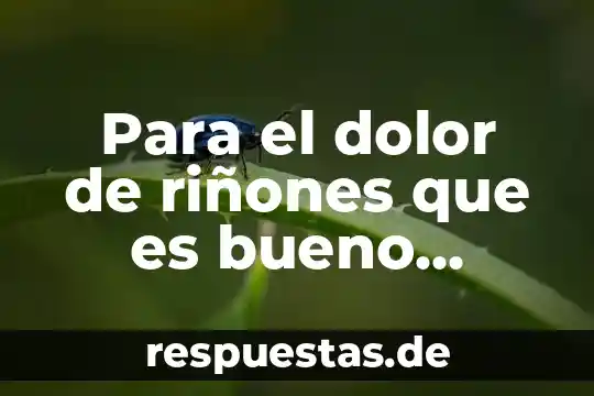 Que es bueno tomar para producir mas leche materna 8 Para el dolor de riñones que es bueno tomar
