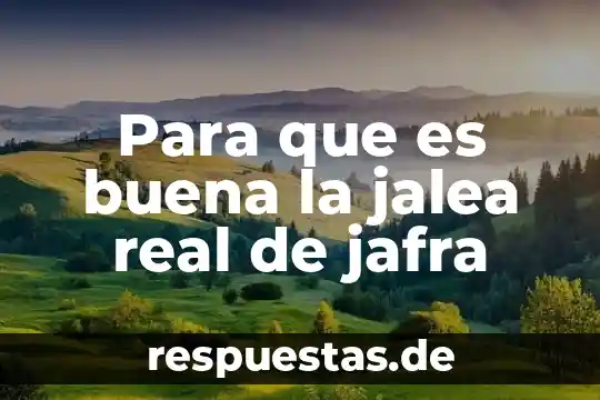 Que es la buena gobernanza 6 Para que es buena la jalea real de jafra