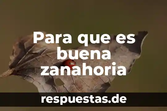Para que es buena zanahoria