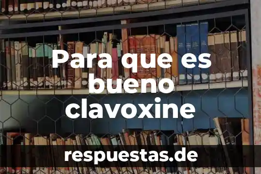 Que es ser bueno y malo pptx 4 Para que es bueno clavoxine