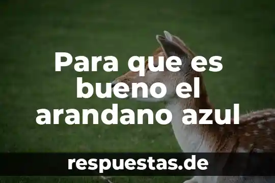 Que es fuenteovejuna significado 5 Para que es bueno el arandano azul
