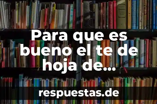 Qué es T.E en tecnología 3 Para que es bueno el te de hoja de aguacate