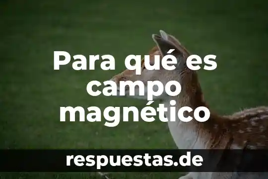 Para qué es campo magnético