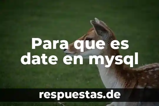 Que es el system date 4 Para que es date en mysql