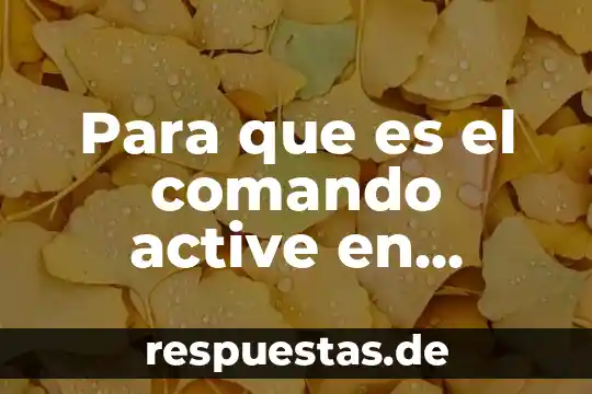 Que es el significado de ebano 7 Para que es el comando active en diskpart