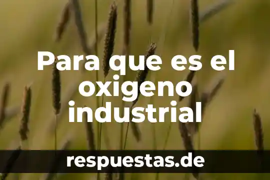 Que es industrial en economia 6 Para que es el oxigeno industrial