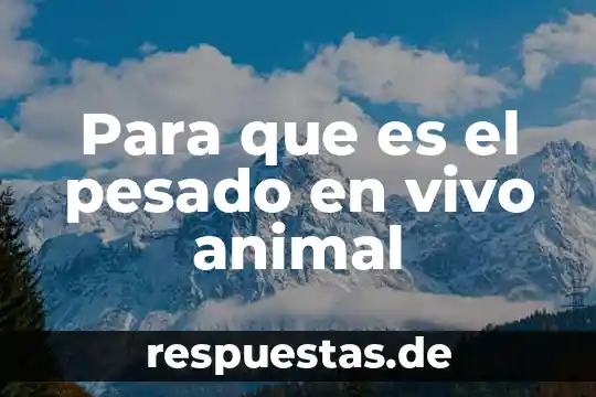 Tipo de animal que es la oruga 8 Para que es el pesado en vivo animal