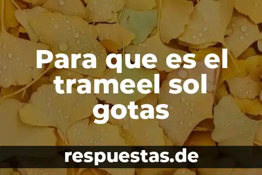 Qué es una línea de regresión 5 Para que es el trameel sol gotas