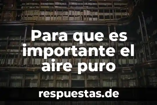 Por que es importante la sibilidad 4 Para que es importante el aire puro