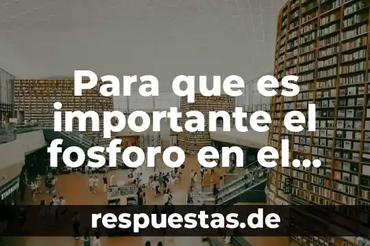 Qué es un organismo transgénico 8 Para que es importante el fosforo en el organismo