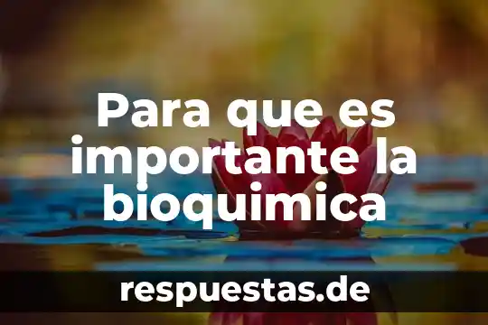Para que es importante la bioquimica