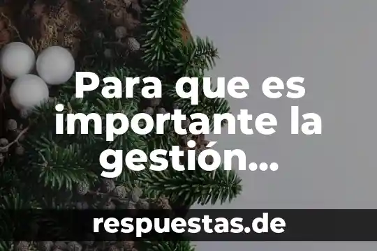 Por que es importante organizarse en una sociedad 8 Para que es importante la gestión educativa