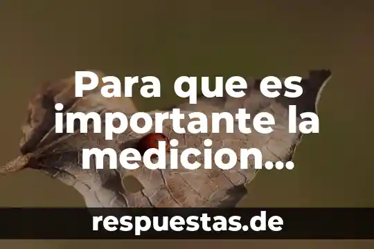 Qué es el software concepto 5 Para que es importante la medicion forestal