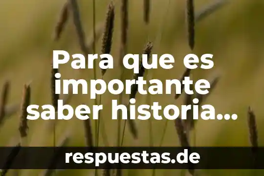 Como saber que es un micronegocio 5 Para que es importante saber historia del maíz