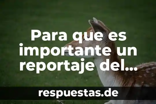 Que es el significado de lugar 7 Para que es importante un reportaje del lugar donde viven