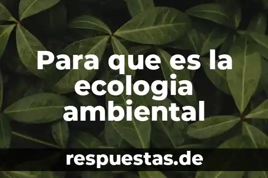 Que es conciencia ambiental ejemplos 5 Para que es la ecologia ambiental