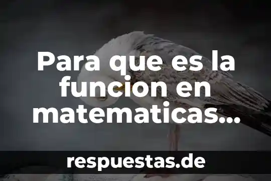Para que es la funcion en matematicas discretas