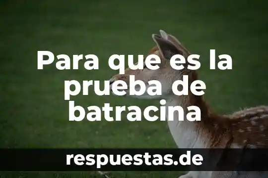 Para que es la prueba de batracina