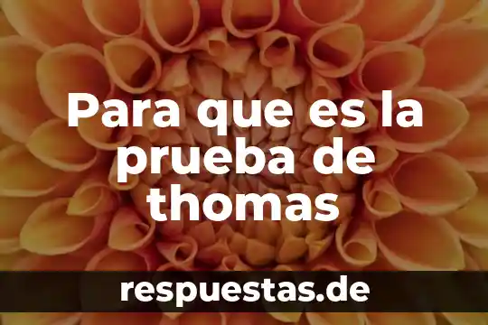 Que es conocimiento de thomas samuel kuhn 6 Para que es la prueba de thomas