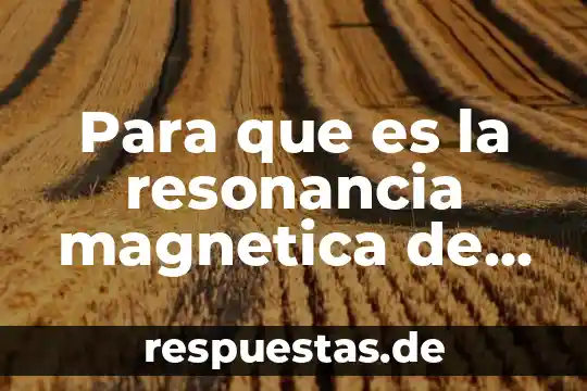 ¿Qué es los líquidos sólidos? 5 Para que es la resonancia magnetica de nucleos solidos