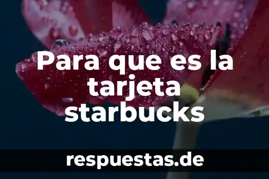 En si que es un paradigma-filosofia 4 Para que es la tarjeta starbucks