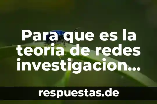 Que es operaciones con valores absolutos 8 Para que es la teoria de redes investigacion de operaciones