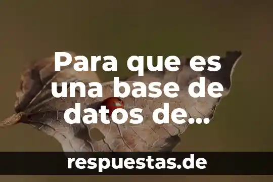 Qué es el gobierno definición política 4 Para que es una base de datos de mutantes