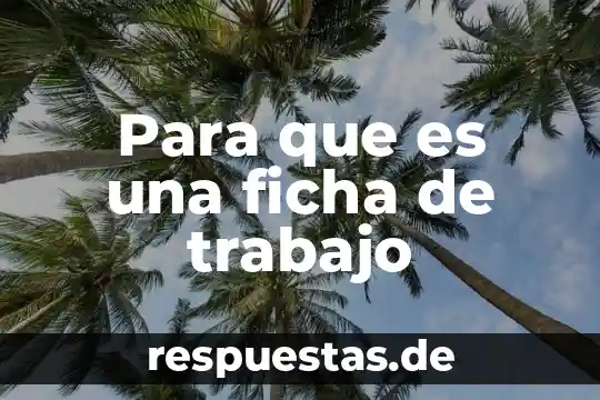 Que es la ficha del resumen 5 Para que es una ficha de trabajo