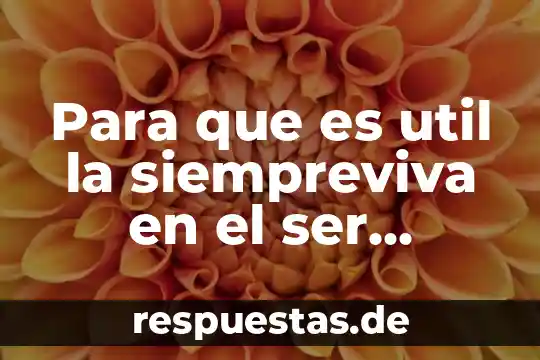 Que es ser integro como valor 4 Para que es util la siempreviva en el ser humano