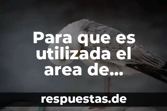 Qué es el área de un número 7 Para que es utilizada el area de crioterapia