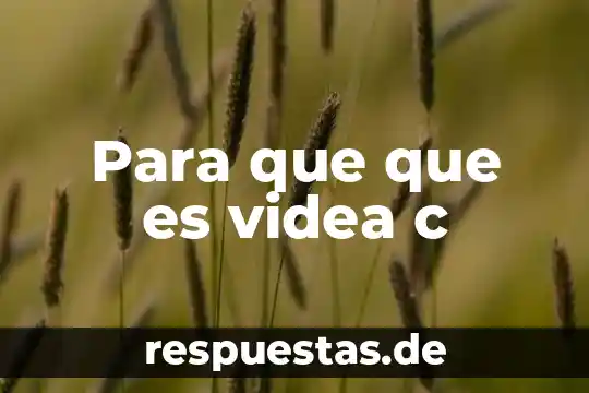 Que es el concepto de ayuwoki 4 Para que que es videa c