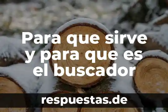 Que es un buscador logotipos y nombres mas populares 6 Para que sirve y para que es el buscador