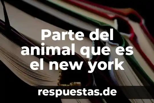 Que es un medio block de concreto 5 Parte del animal que es el new york