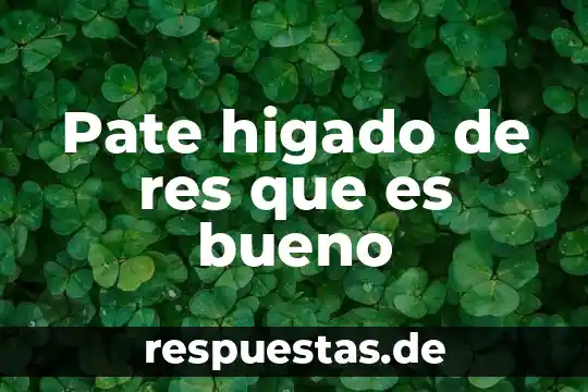 Qué es mejor para el hígado boldo o cardo mariano 5 Pate higado de res que es bueno