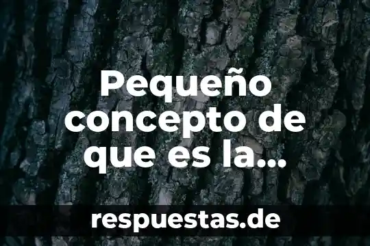 Pequeño concepto de que es la conducción
