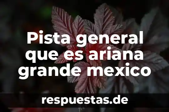 Pista general que es ariana grande mexico