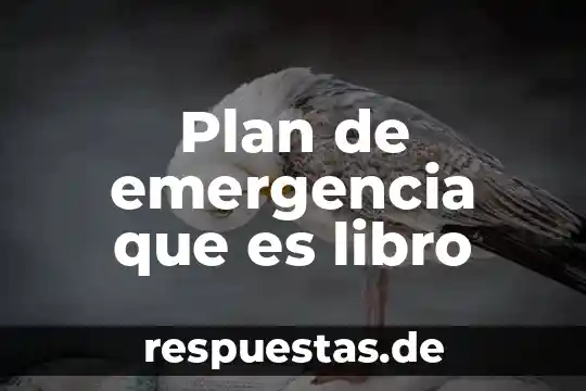 Plan de emergencia que es libro