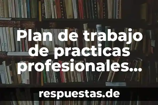 Qué es el comite internacional de practicas de auditoria 8 Plan de trabajo de practicas profesionales que es