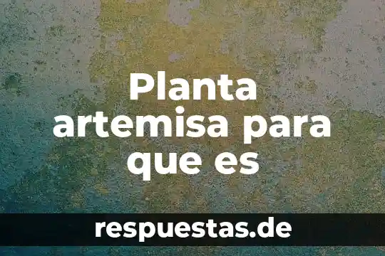 Qué es las espicolas de la planta 6 Planta artemisa para que es