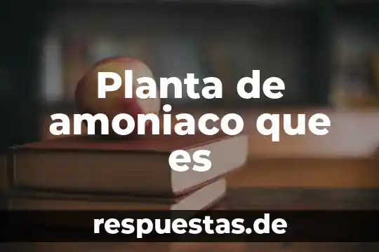 El hecho de boston planta y que es 8 Planta de amoniaco que es